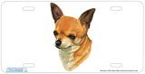 Chihuahua Art Print - License Plate, Magnet, Keychain SET By Robert J. May